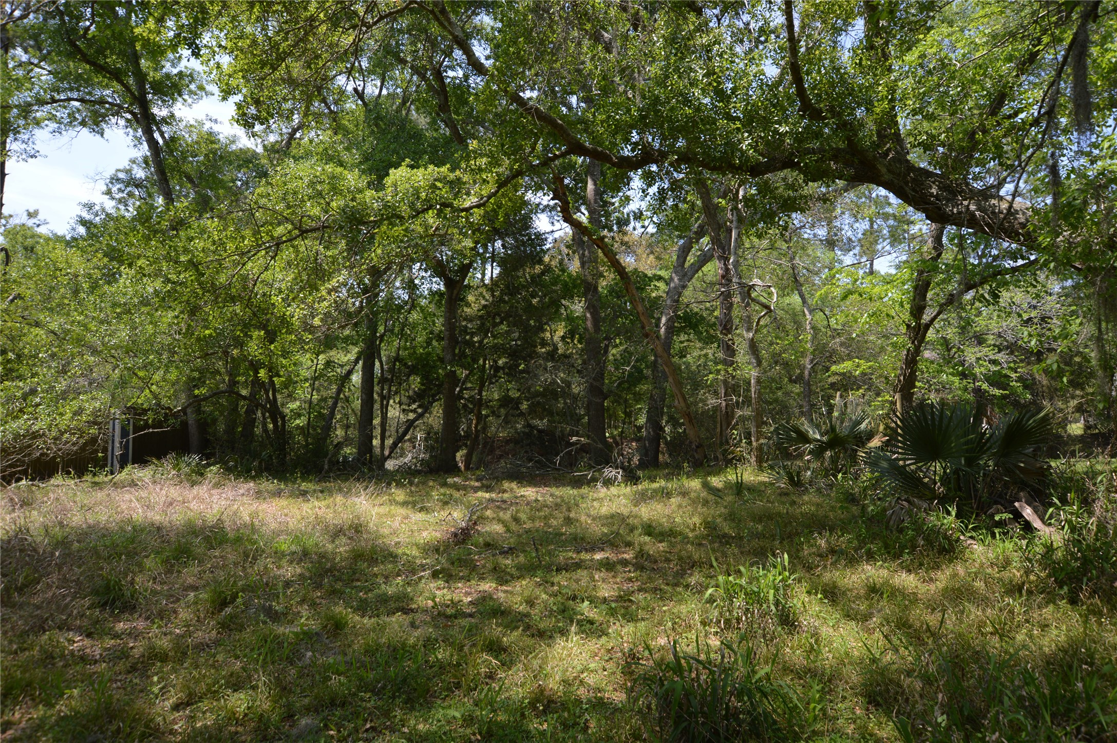 0 Bryant Lane Webster, TX 77598 - Photo 7 of 10 a big yard with lots of trees