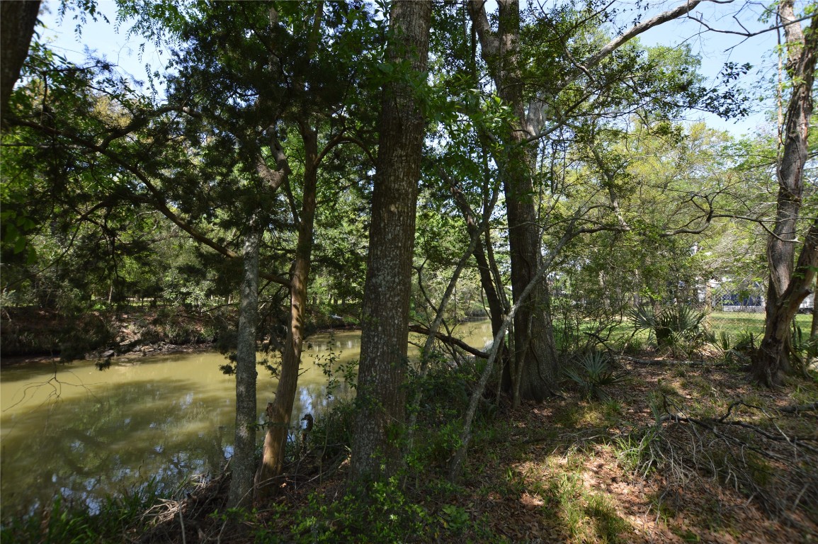 0 Bryant Lane Webster, TX 77598 - Photo 8 of 10 a view of forest
