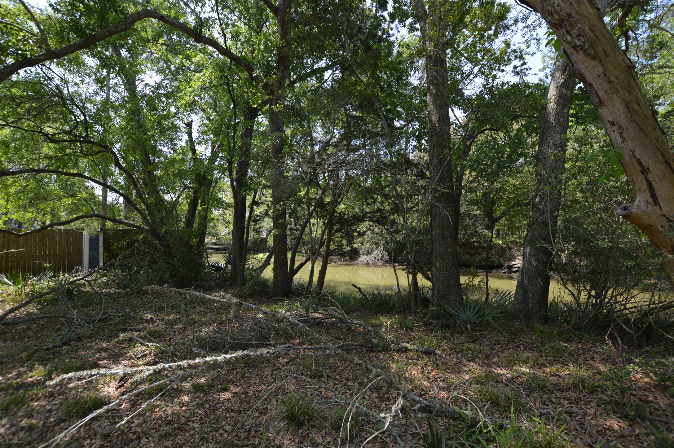 0 Bryant Lane Webster, TX 77598 - Photo 10 of 10 a view of a forest with trees in the background