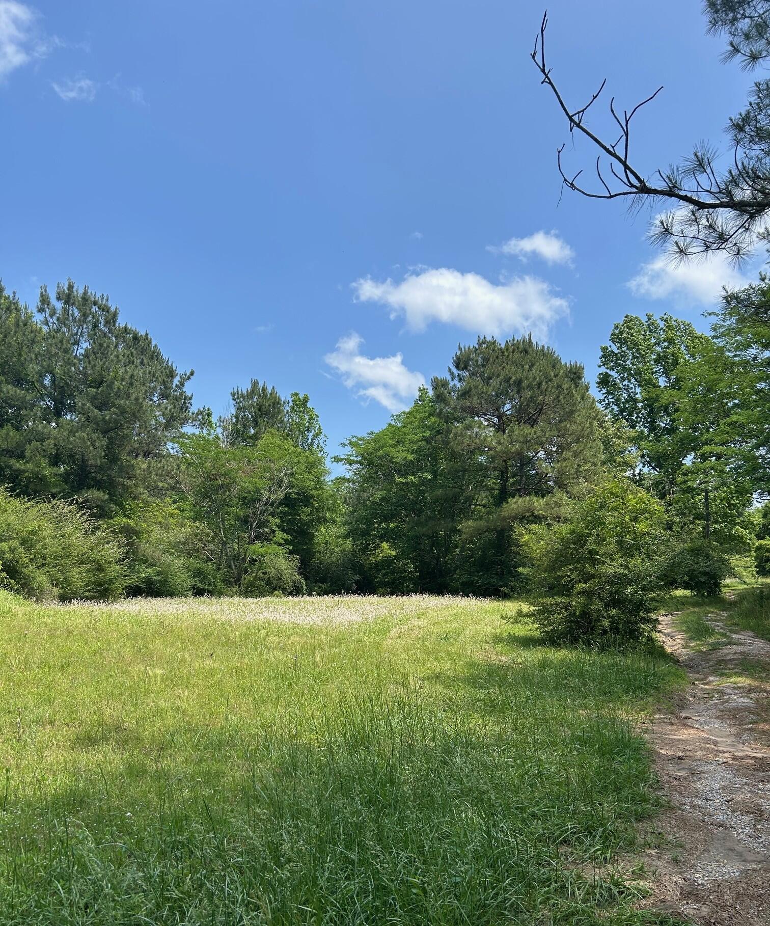 1528 North Pumping Station Road Ovett, MS 39464 - Photo 27 of 31 FRONT FIELD