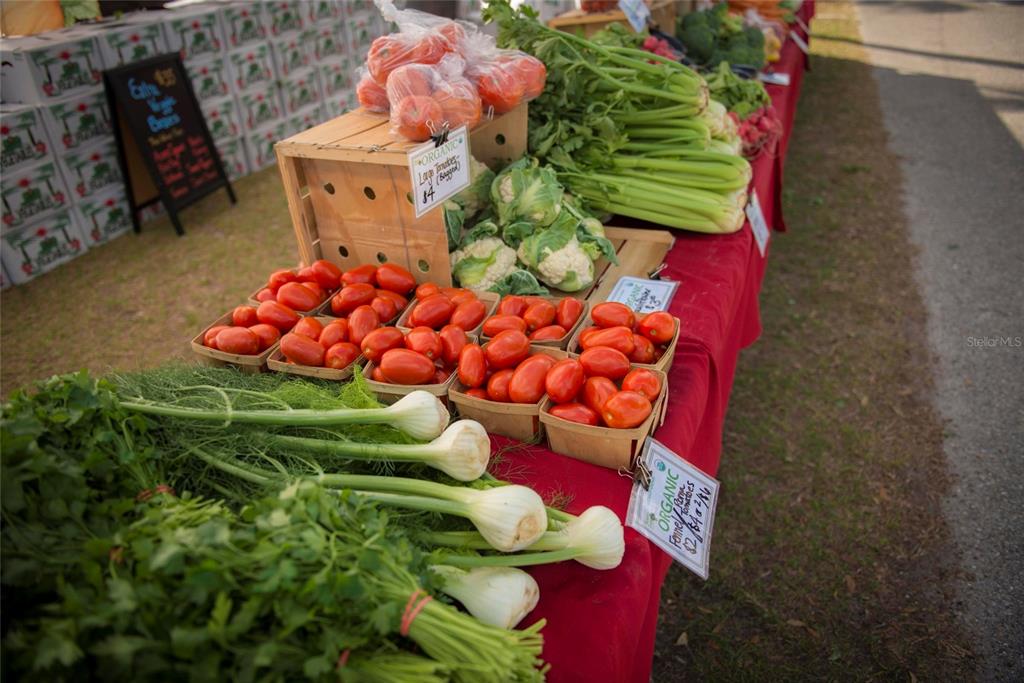 8422 Wethersfield Run, Unit 103 Lakewood Ranch, FL 34202 - Photo 91 of 99