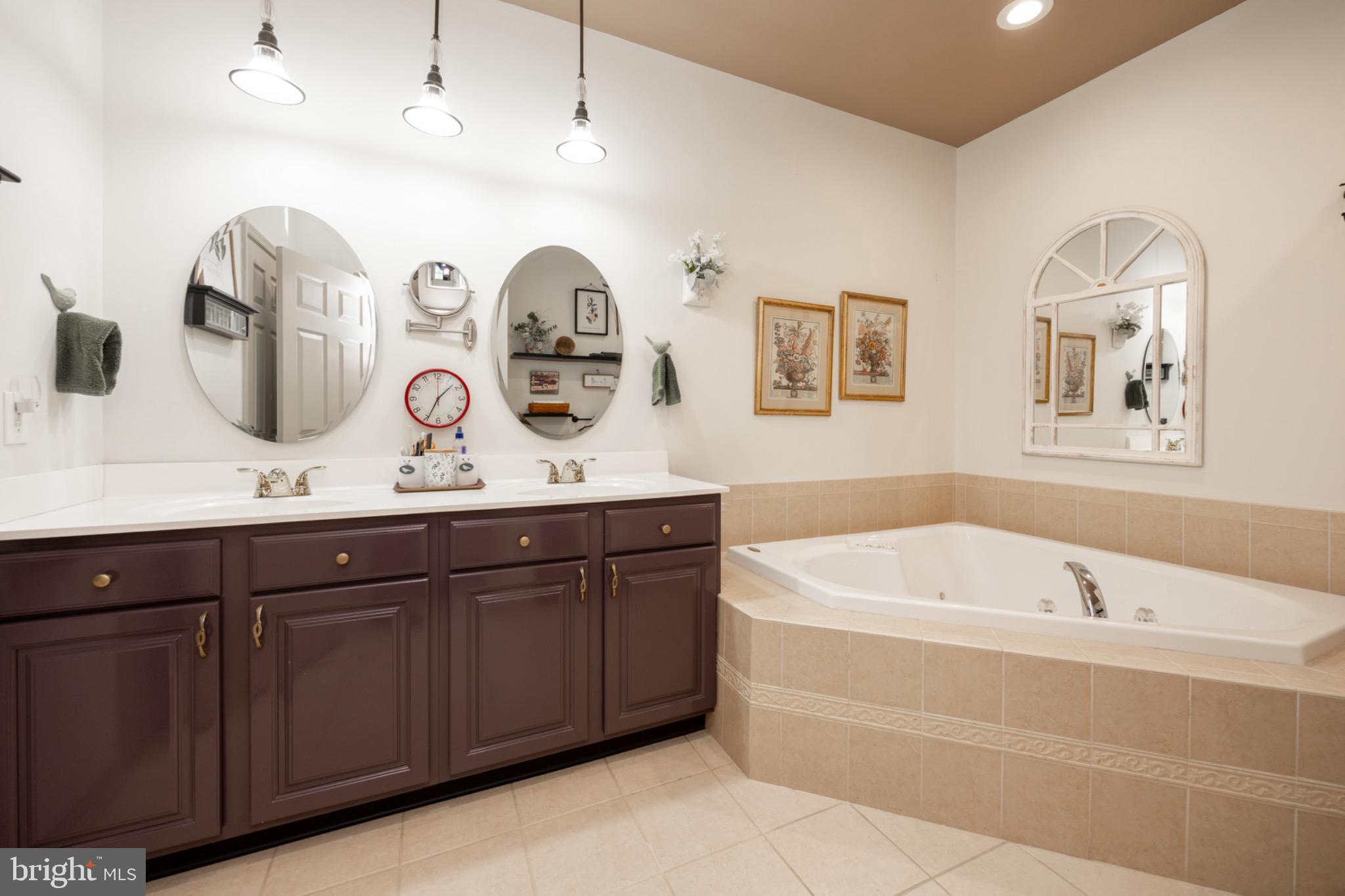 1701 Dawman Road Coatesville, PA 19320 - Photo 19 of 29 Elegant bathroom with dual vanities and tub.