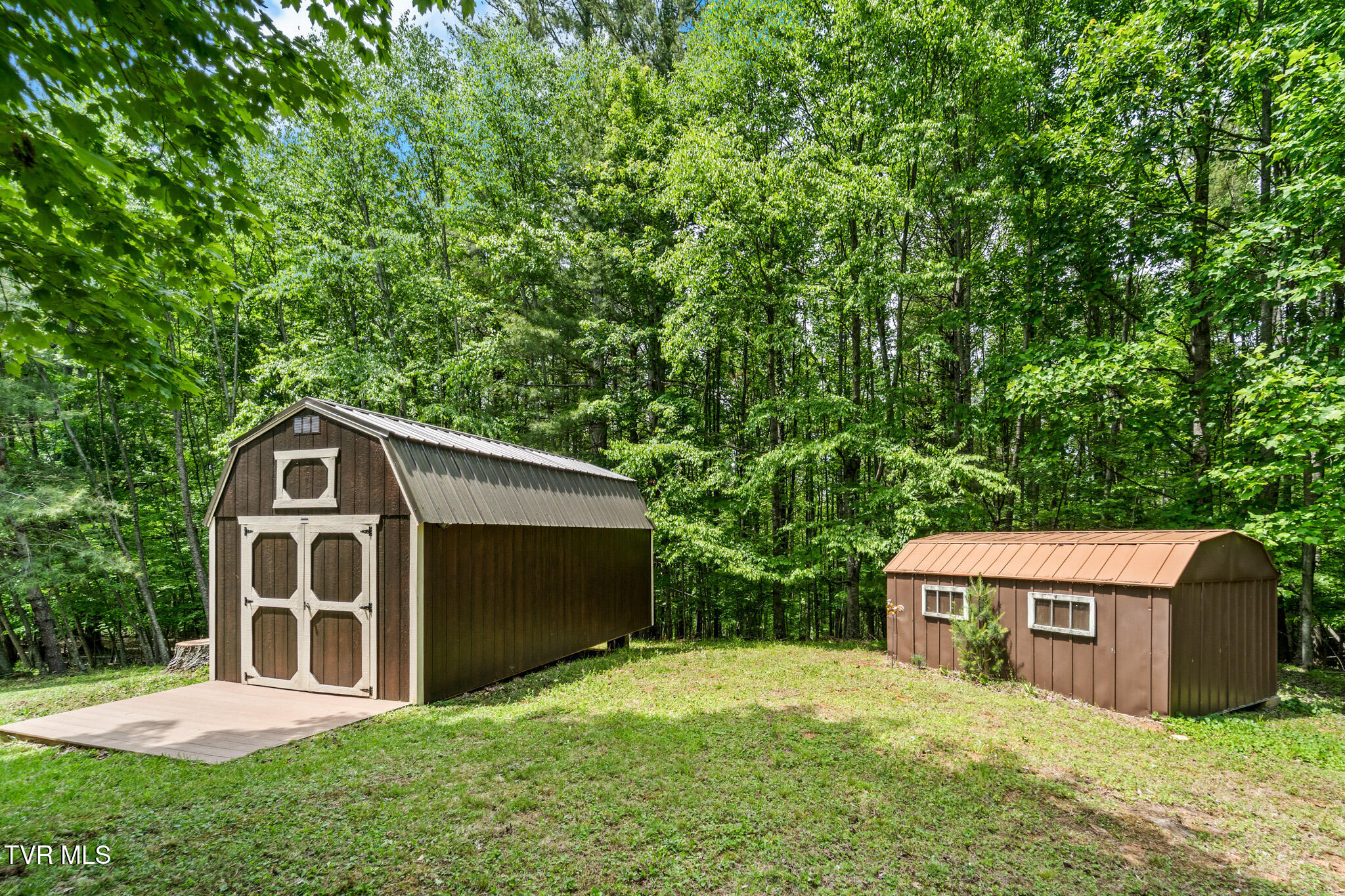 929 Noah Snyder Road Mountain City, TN 37683 - Photo 45 of 46 DSC08087