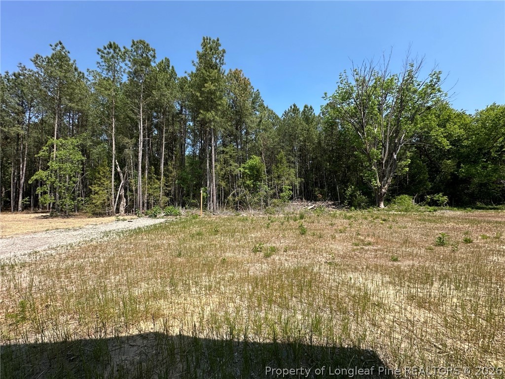 2908 Calloway Road Raeford, NC 28376 - Photo 23 of 25 a backyard of a house with large trees