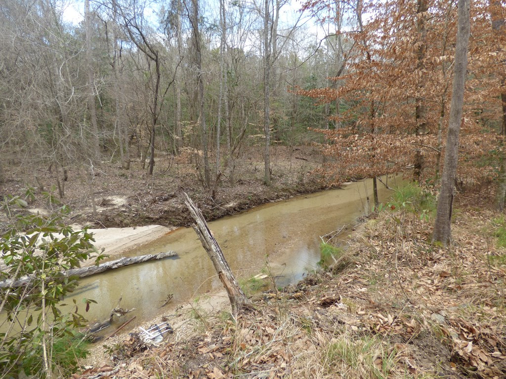 131 Wallace Road Southeast Meadville, MS 39653 - Photo 4 of 21 Photo 4