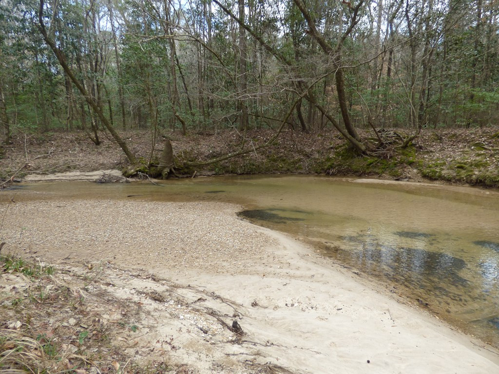 131 Wallace Road Southeast Meadville, MS 39653 - Photo 8 of 21 Photo 8