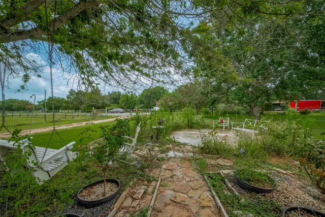 a view of a garden with plants and large trees