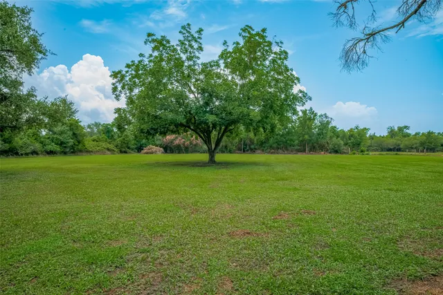 a view of a green field with clear sky