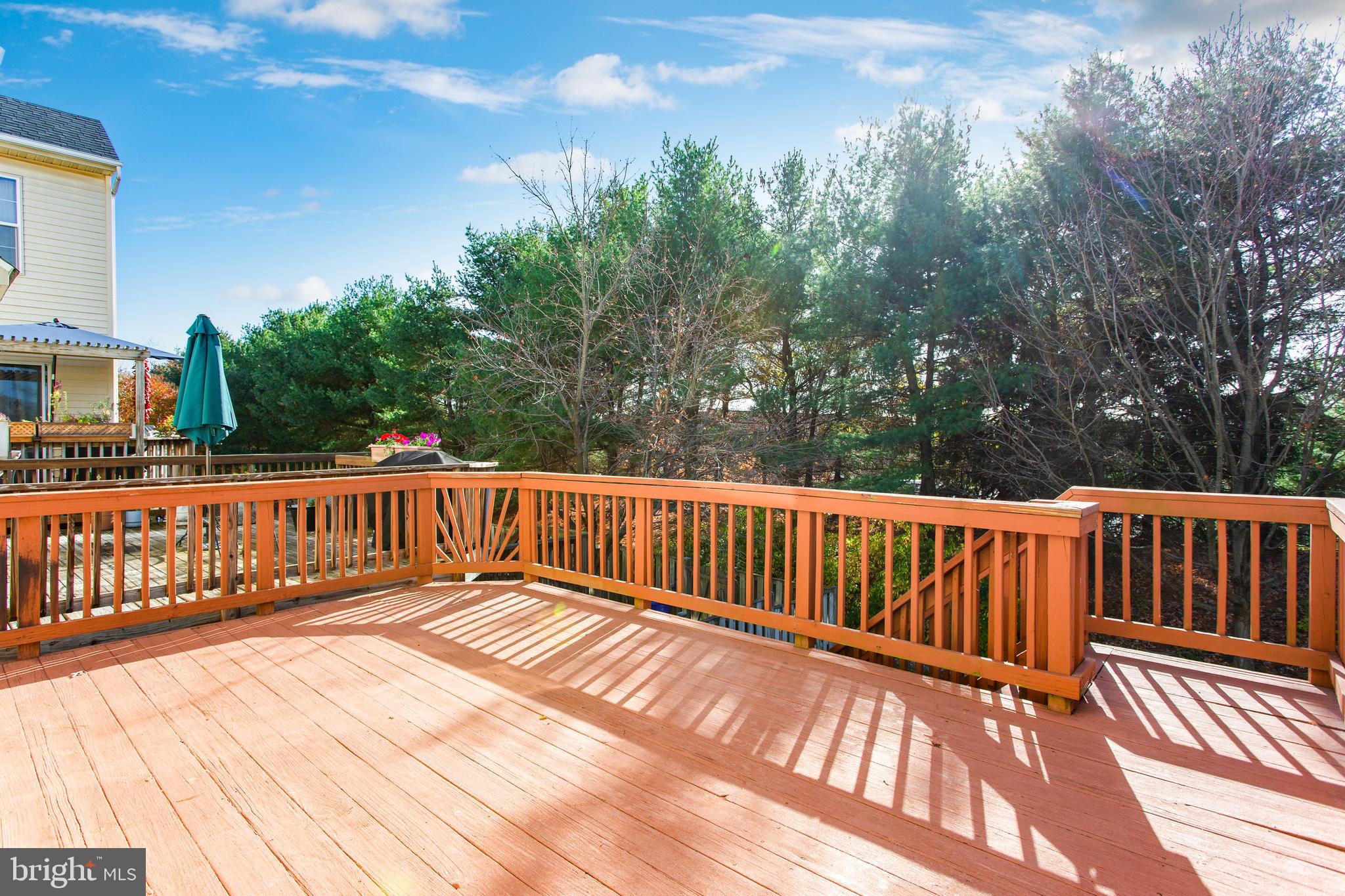 6244 Deep Earth Lane Columbia, MD 21045 - Photo 47 of 47