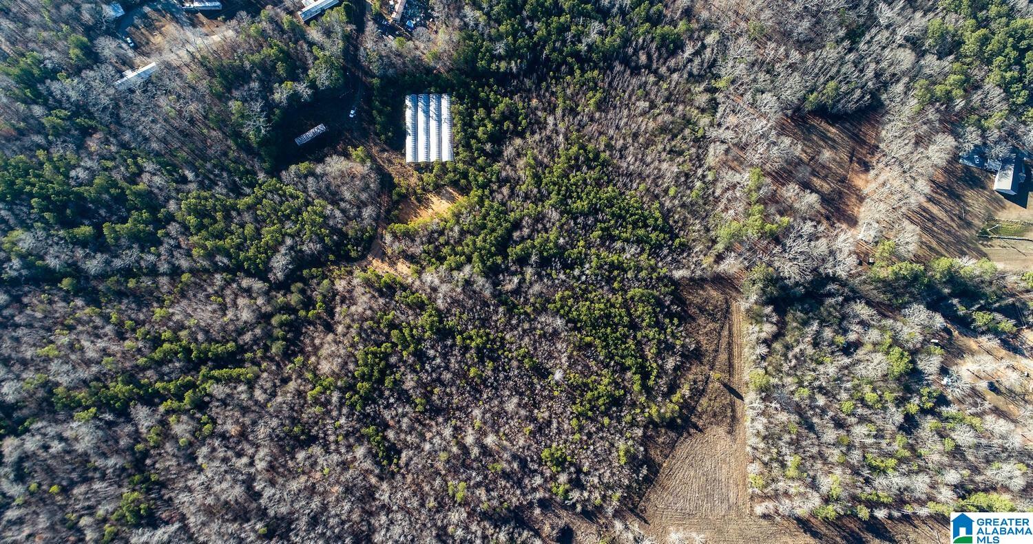 203 Racers Lane, Unit 1 Oxford, AL 36203 - Photo 21 of 21
