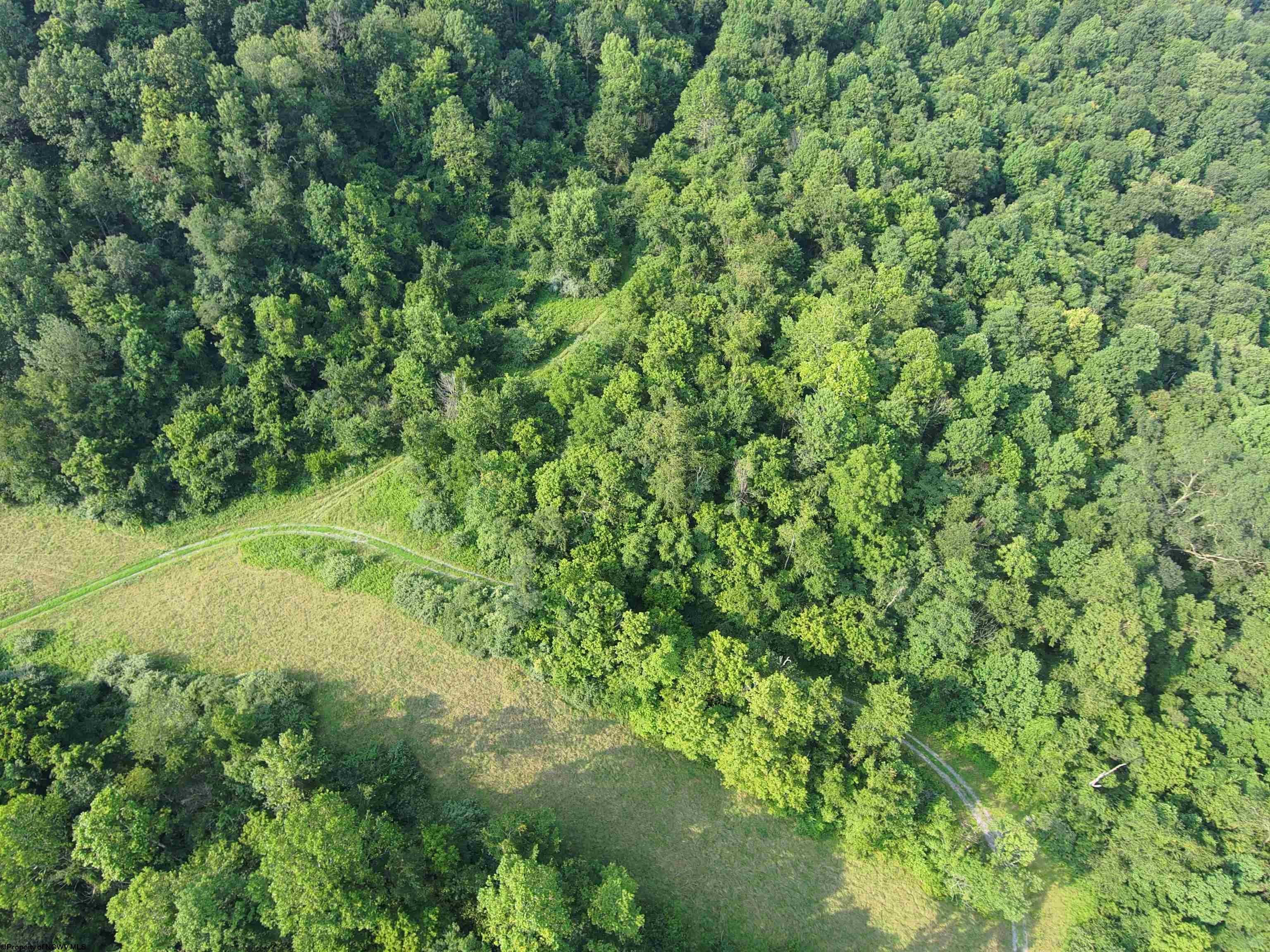 Tbd Mount Clare Road Mount Clare, WV 26408 - Photo 25 of 45 Gallery Image 25