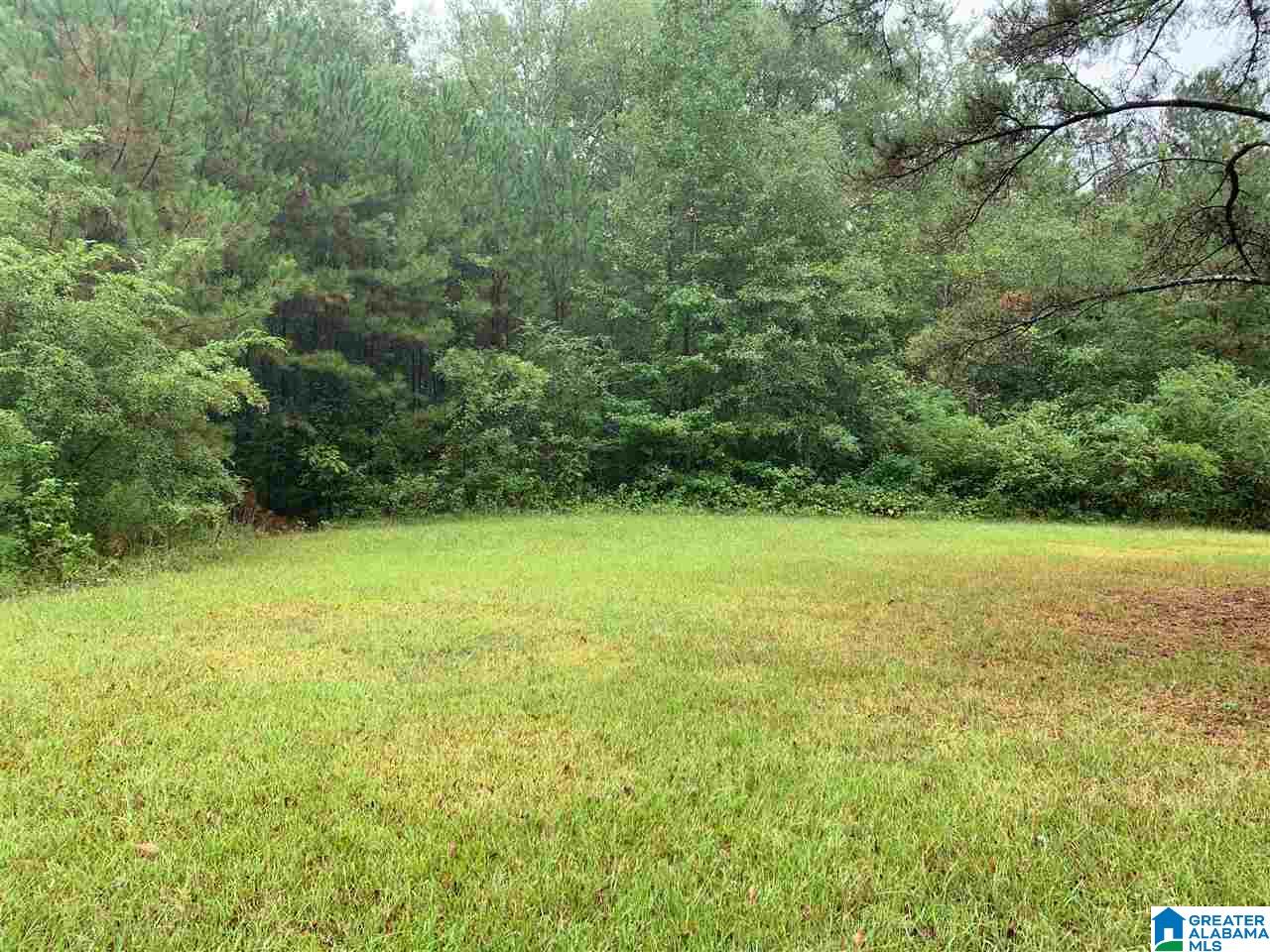 107 Tyler Circle Vincent, AL 35178 - Photo 20 of 26