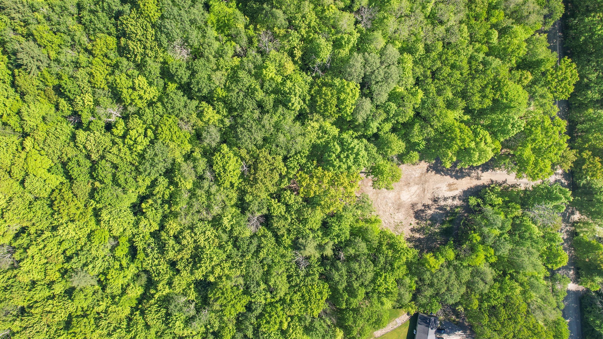 315 Gaf Lake Road Windsor, NY 13865 - Photo 9 of 12 Gallery Image 9