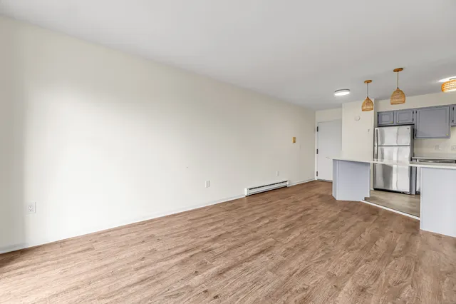 a view of empty room with wooden floor