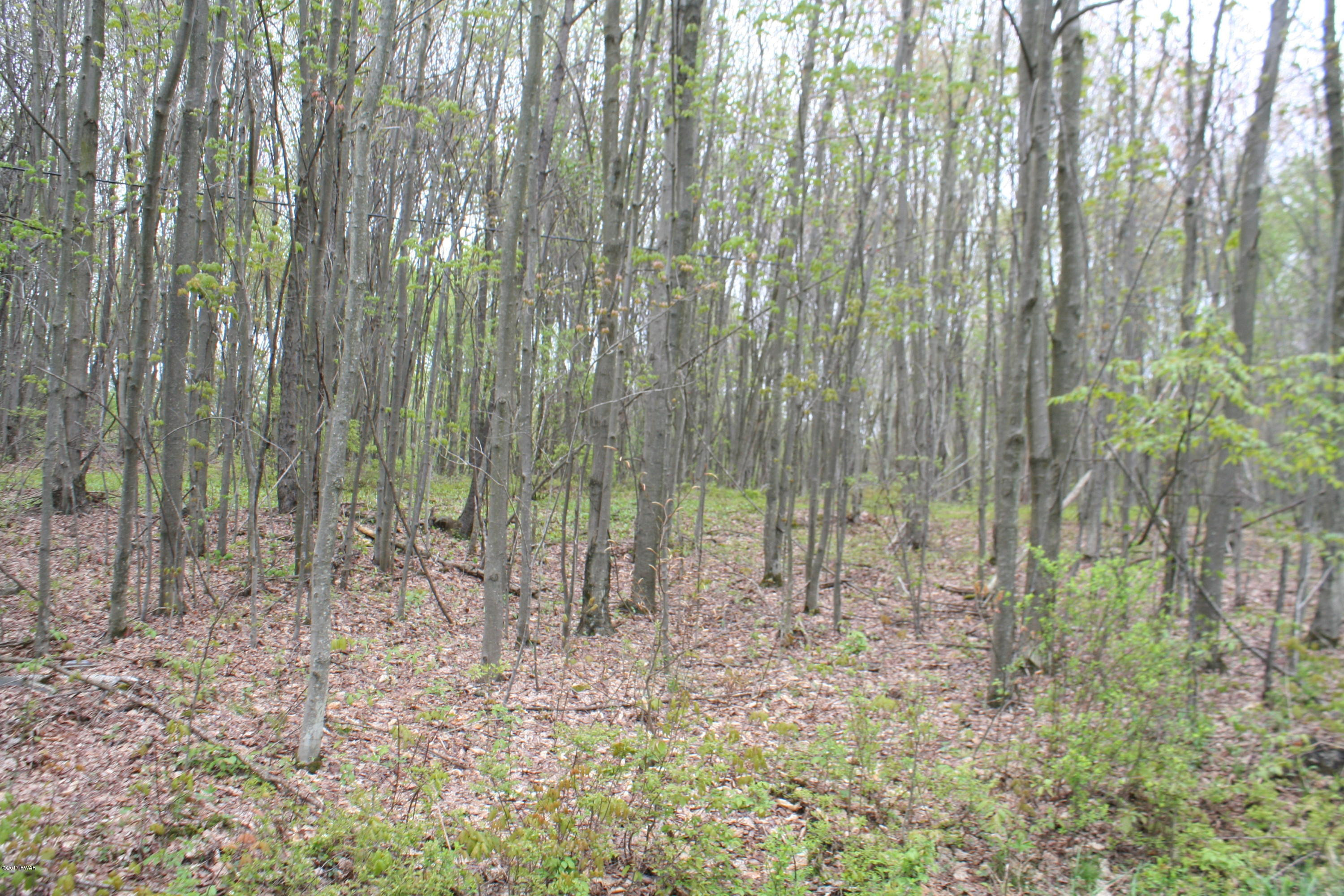 249 North Smith Road Waymart, PA 18472 - Photo 8 of 9