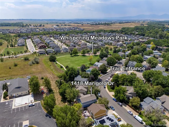 a view of park with large trees