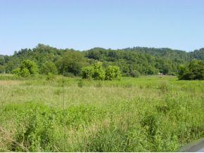 12-13 Buchanan Road, Unit 12 & 13 Glade Spring, VA 24340 - Photo 3 of 9 Photo 3