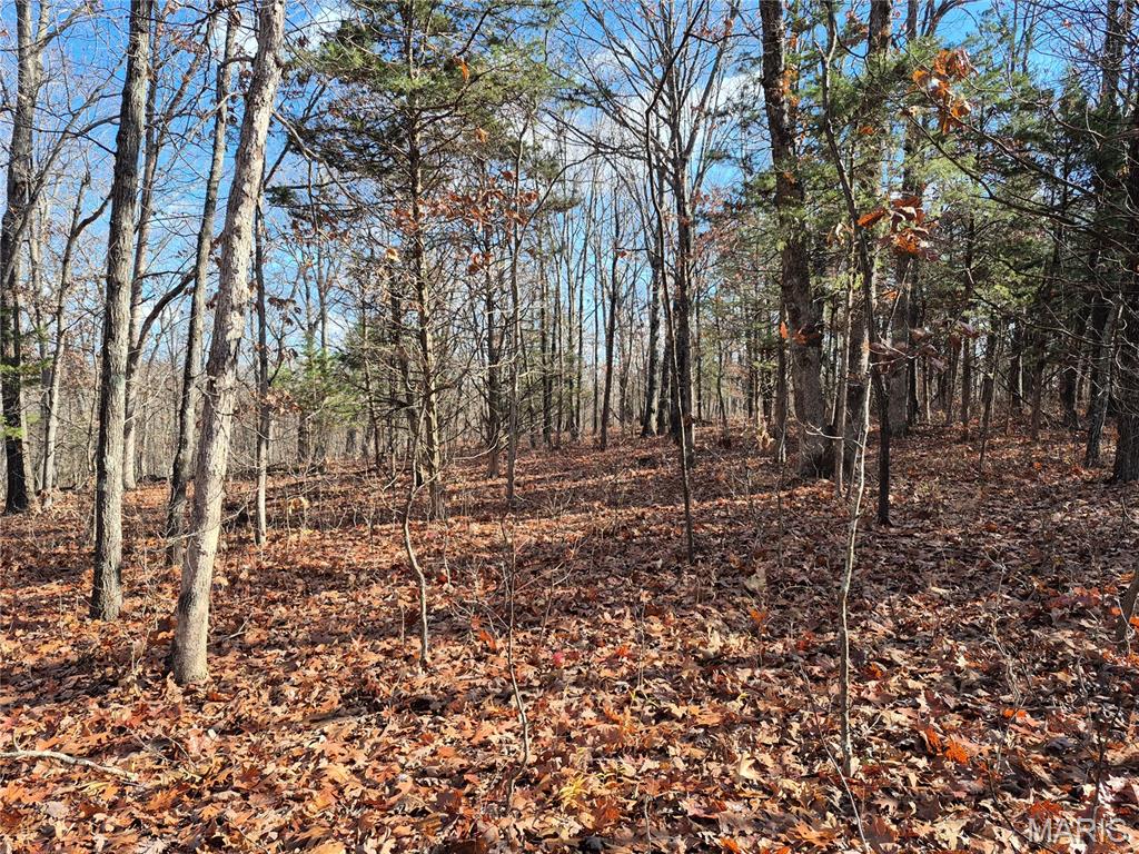 0 Logan School Road New Florence, MO 63363 - Photo 11 of 25