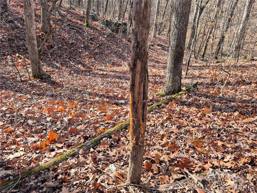 0 Logan School Road New Florence, MO 63363 - Photo 12 of 25