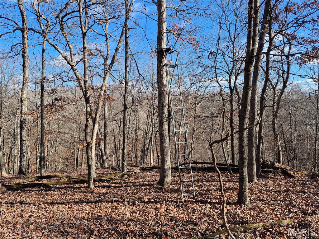 0 Logan School Road New Florence, MO 63363 - Photo 13 of 25