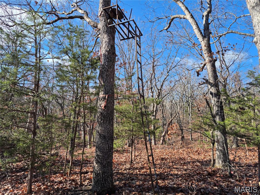 0 Logan School Road New Florence, MO 63363 - Photo 14 of 25