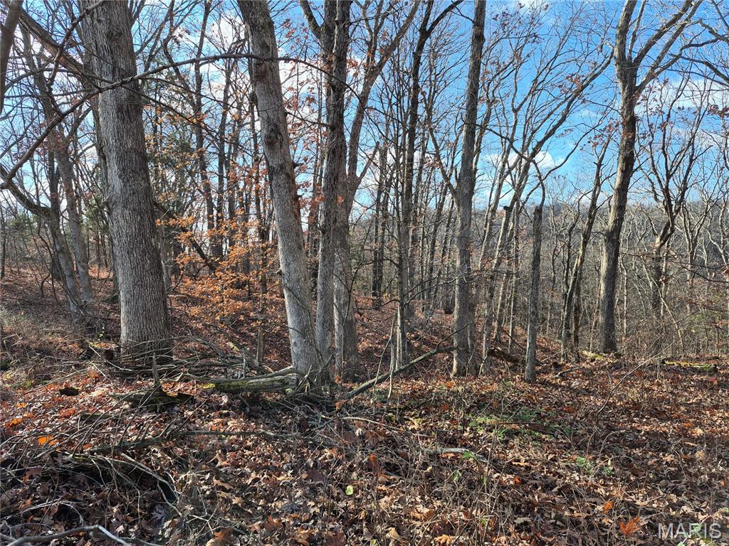 0 Logan School Road New Florence, MO 63363 - Photo 19 of 25