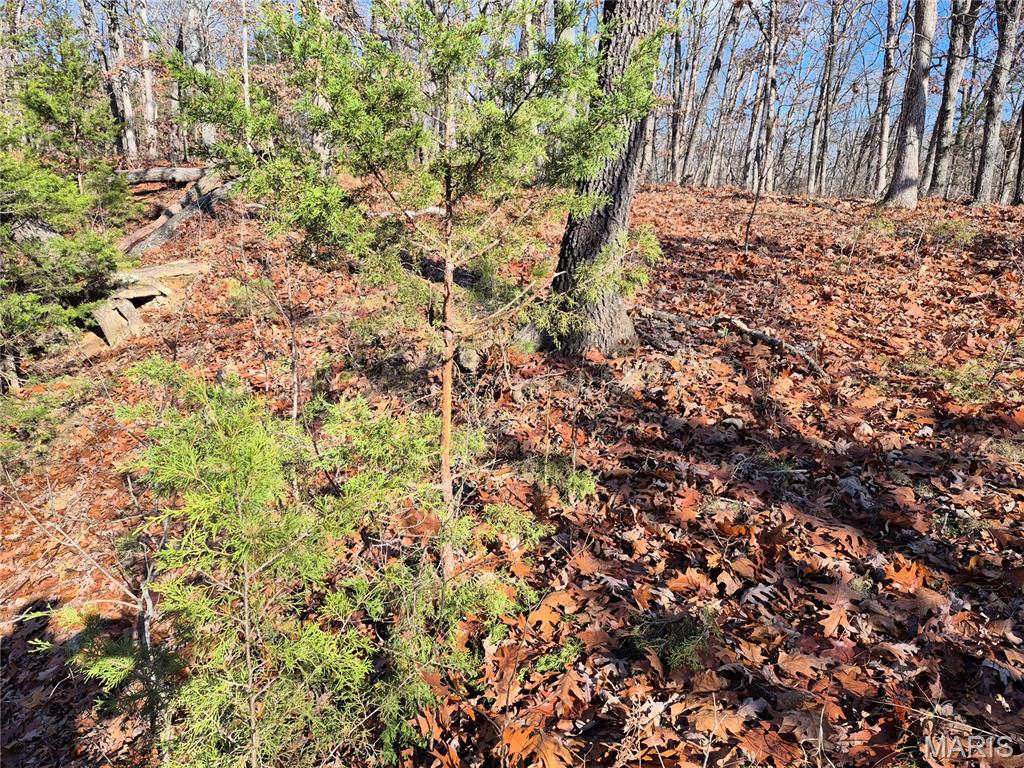 0 Logan School Road New Florence, MO 63363 - Photo 21 of 25