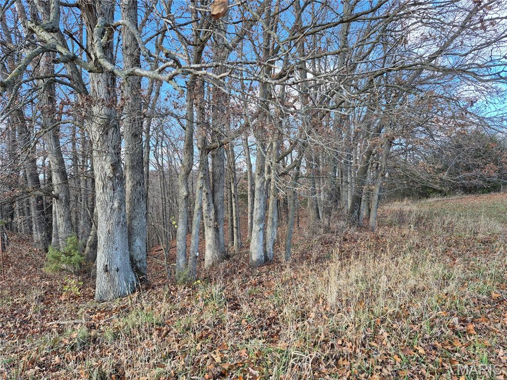 0 Logan School Road New Florence, MO 63363 - Photo 23 of 25