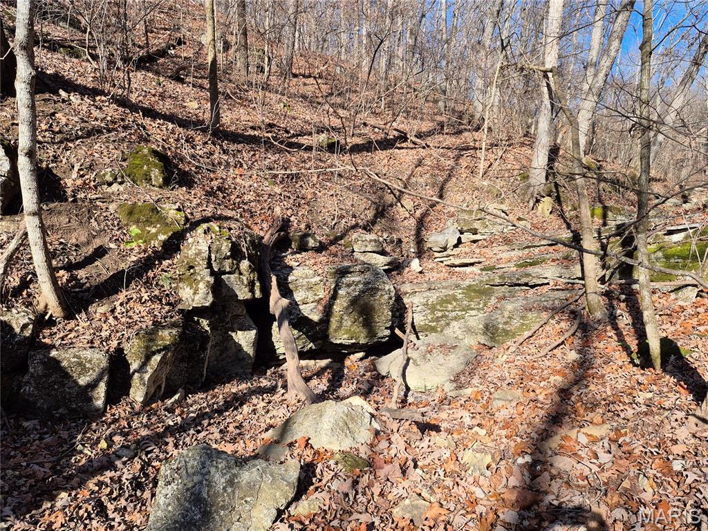 0 Logan School Road New Florence, MO 63363 - Photo 9 of 25