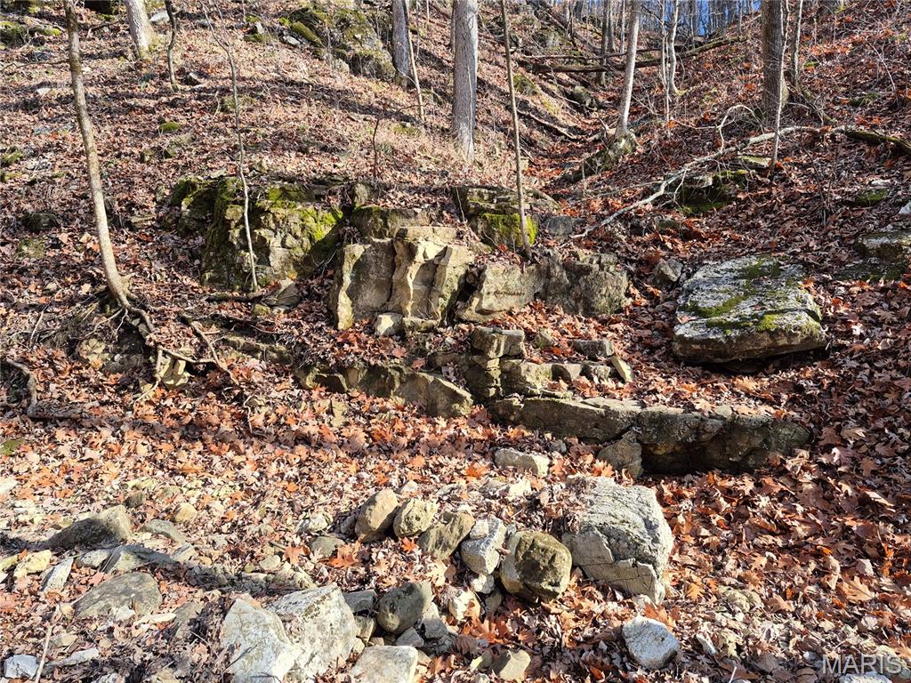 0 Logan School Road New Florence, MO 63363 - Photo 10 of 25