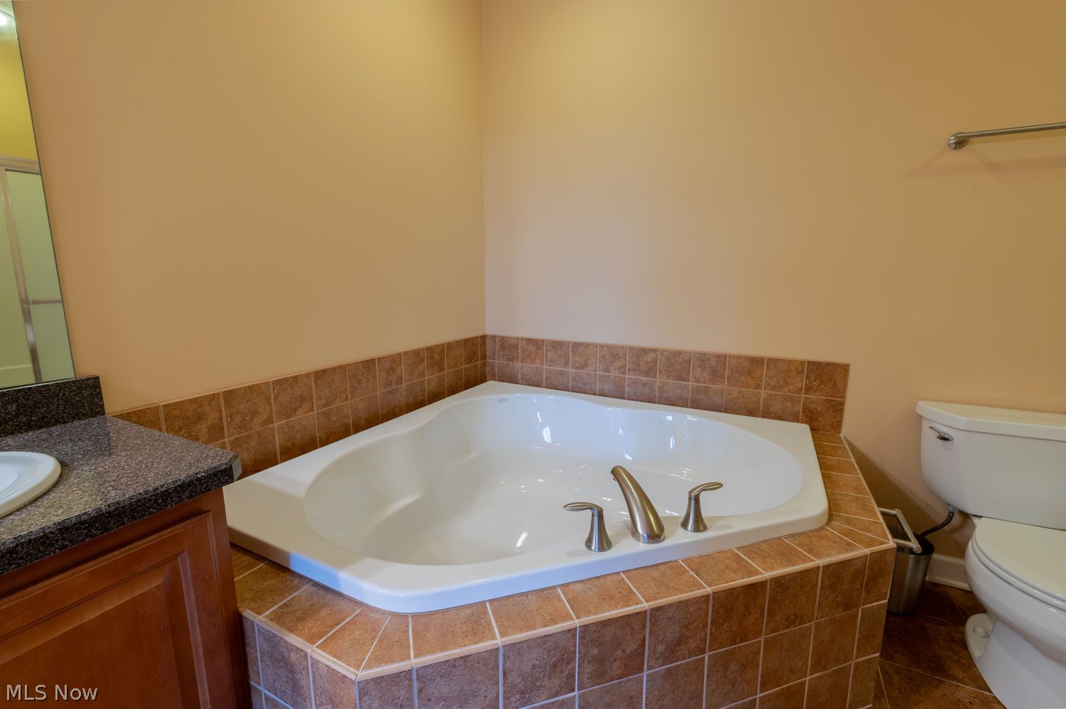 604 Rundle Street Lagrange, OH 44050 - Photo 21 of 45 soaking tub