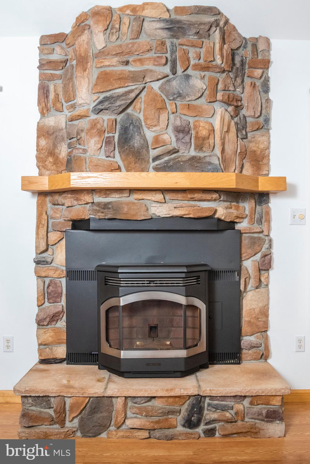 24599 Peterkins Road Georgetown, DE 19947 - Photo 28 of 71 Fireplace in Living room