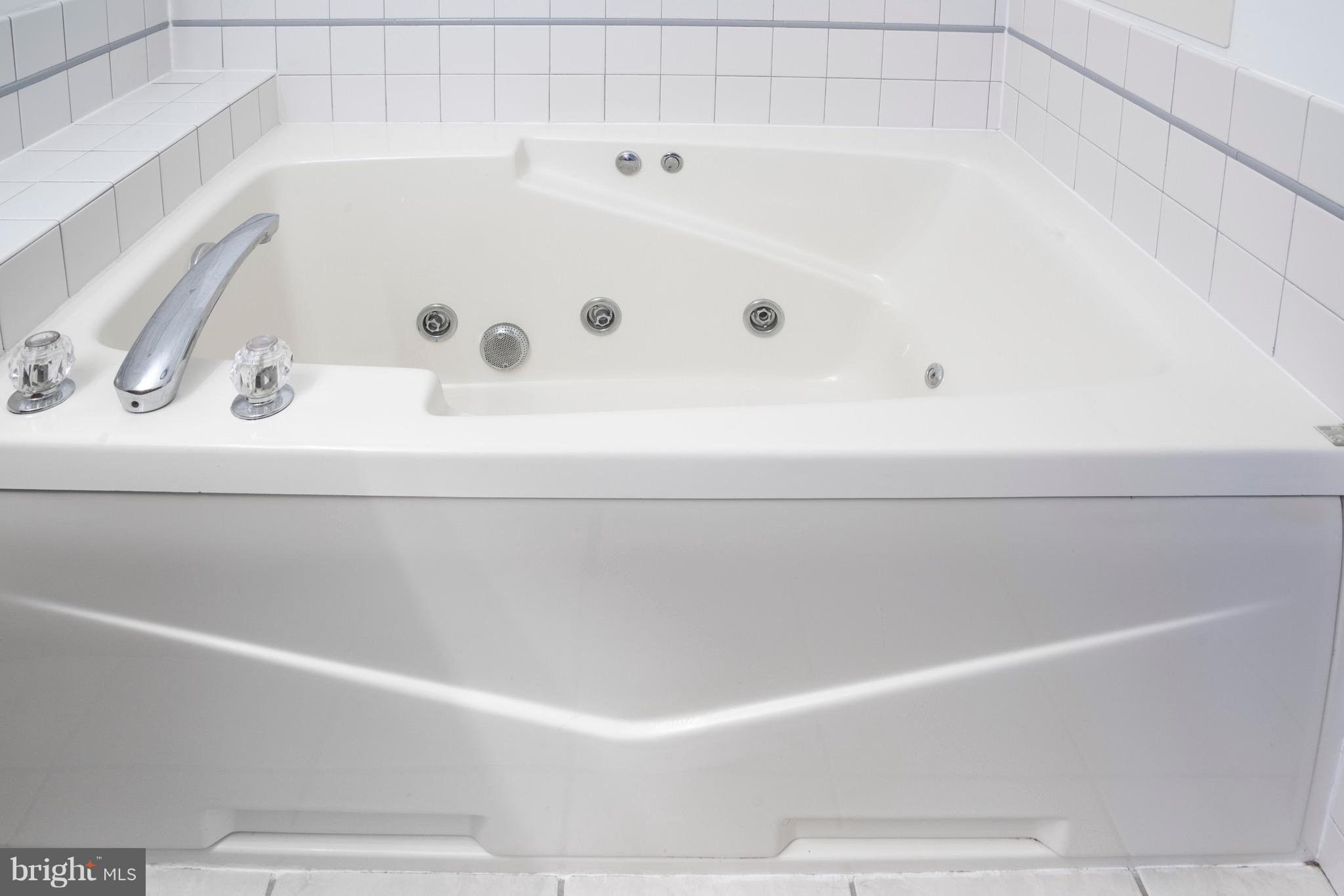 24599 Peterkins Road Georgetown, DE 19947 - Photo 39 of 71 Master bathroom whirlpool tub