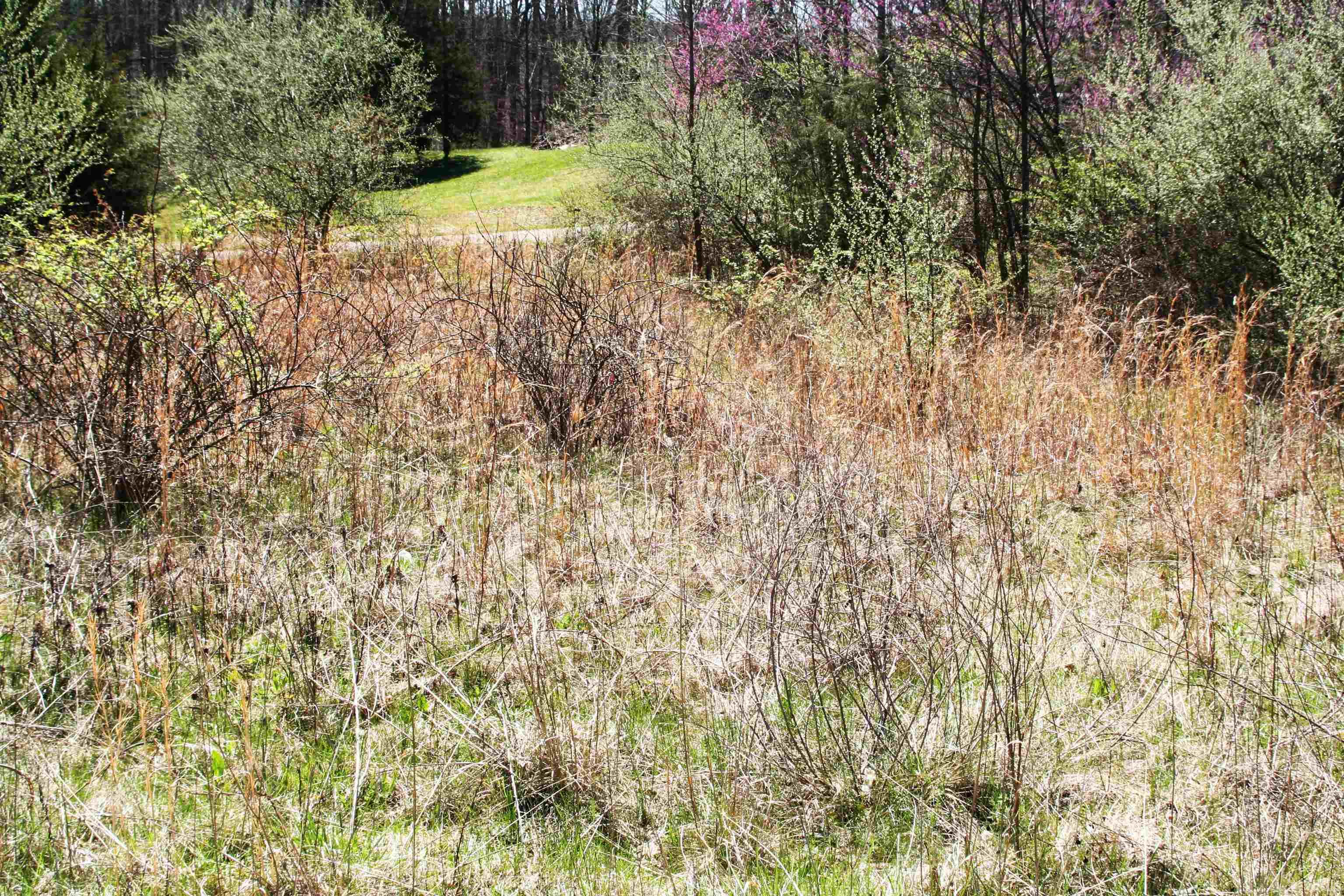 3345 Raspberry Lane Spencer, IN 47460 - Photo 7 of 9