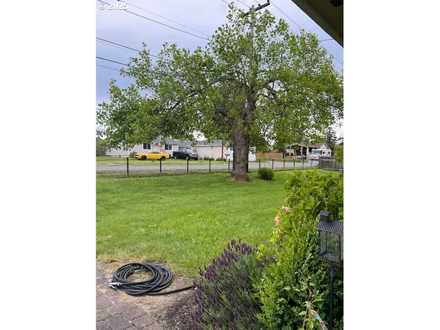 a view of an outdoor space and yard