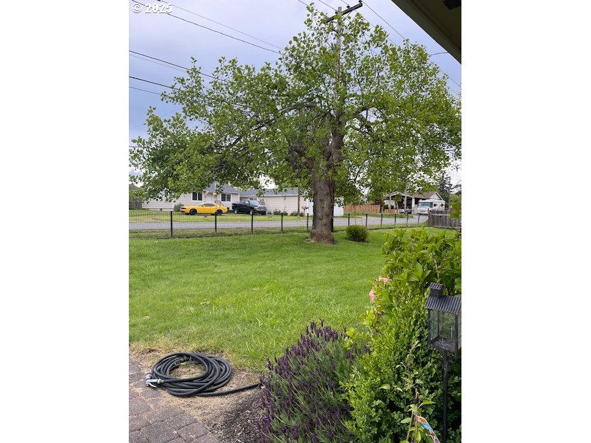 1627 Maple Street Myrtle Point, OR 97458 - Photo 5 of 23 a view of an outdoor space and yard
