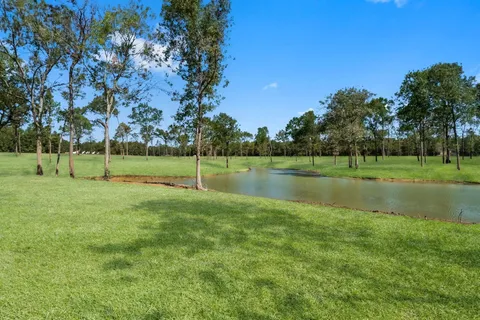 a view of a park with large trees