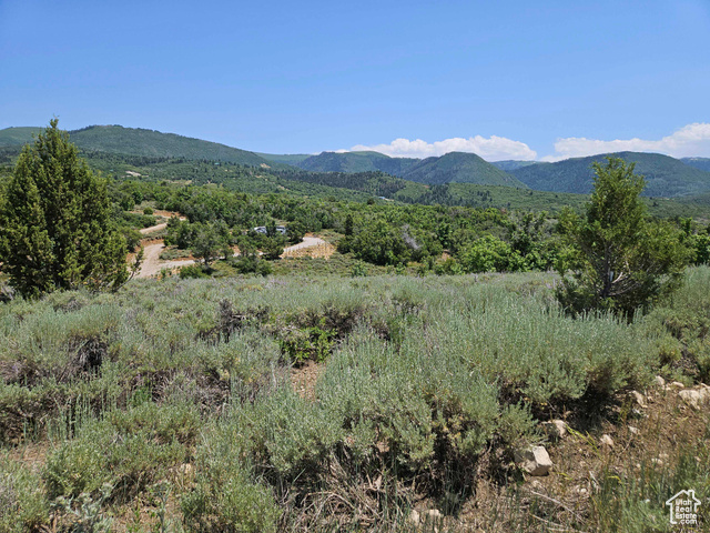 155 East Wolf Hollow Road South, Unit 155 Fairview, UT 84629 - Photo 2 of 13 View of mountain background