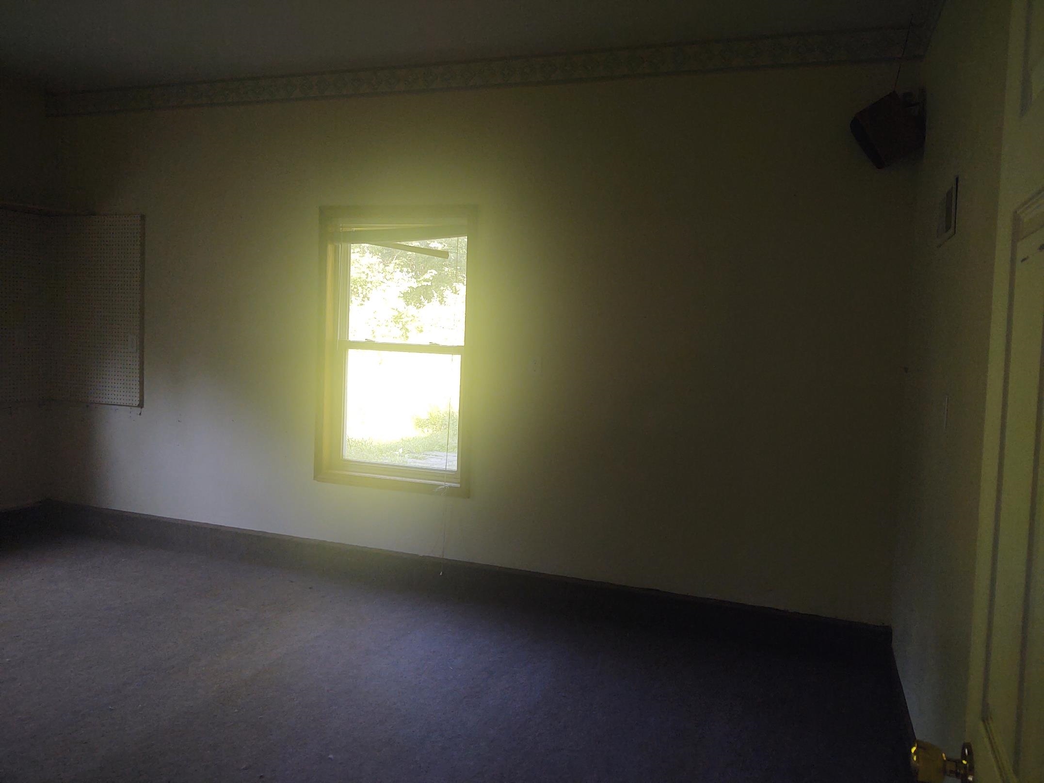 1251 West Kitchen Road Linwood, MI 48634 - Photo 8 of 27