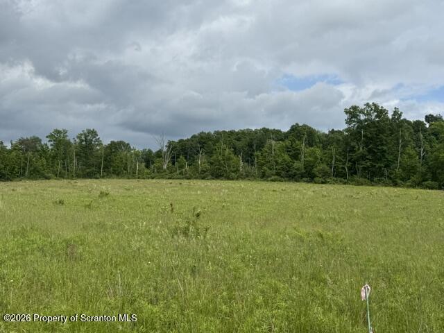 Lot 3 Reynolds Road Dalton, PA 18414 - Photo 3 of 6 IMG_0450