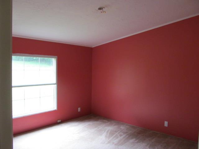 7538 Chowning Road Springfield, TN 37172 - Photo 6 of 10