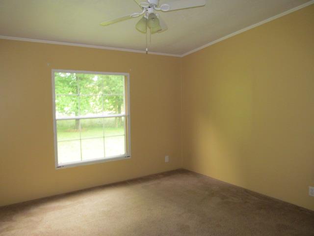 7538 Chowning Road Springfield, TN 37172 - Photo 8 of 10