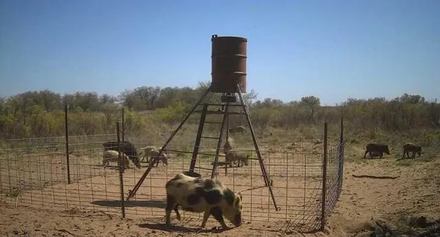 $328,000 | 7-m County Road 259, Dickens, TX 79229