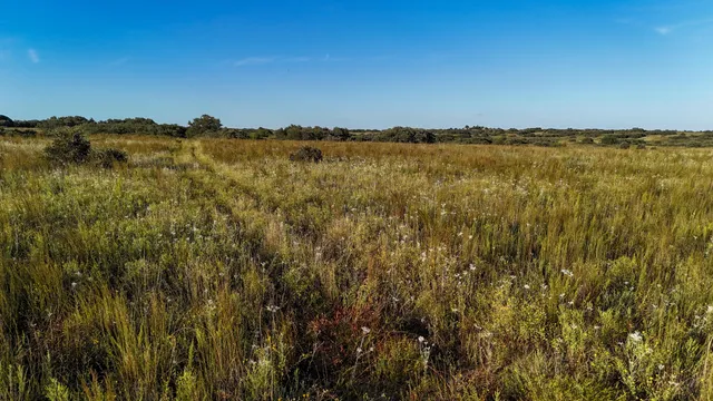 $328,000 | 7-m County Road 259, Dickens, TX 79229