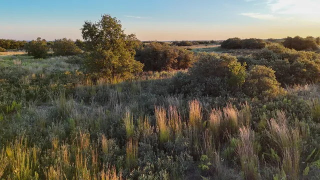 $328,000 | 7-m County Road 259, Dickens, TX 79229