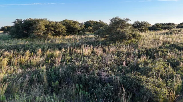 $328,000 | 7-m County Road 259, Dickens, TX 79229