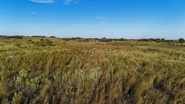 $328,000 | 7-m County Road 259, Dickens, TX 79229