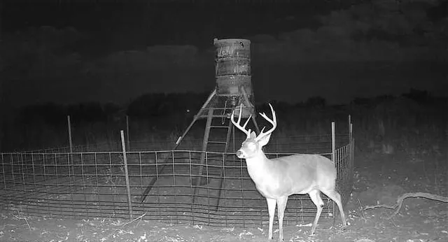 $328,000 | 7-m County Road 259, Dickens, TX 79229