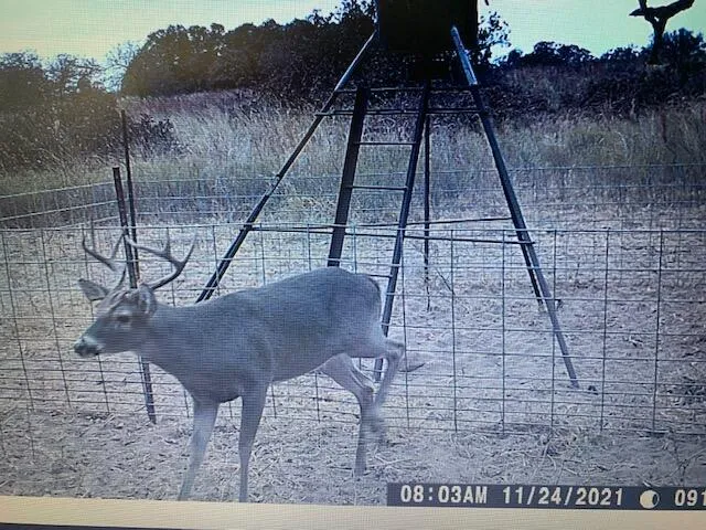 $328,000 | 7-m County Road 259, Dickens, TX 79229