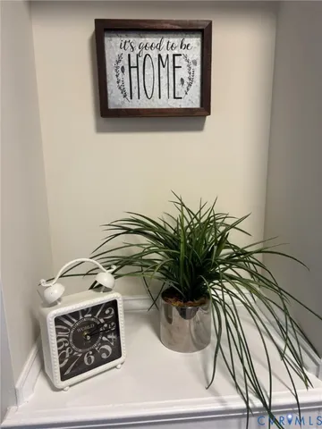 a picture of a wall with a potted plant on a shelf